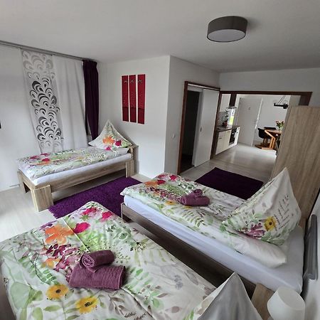 דירות Forchtenberg La Casa Suciu מראה חיצוני תמונה