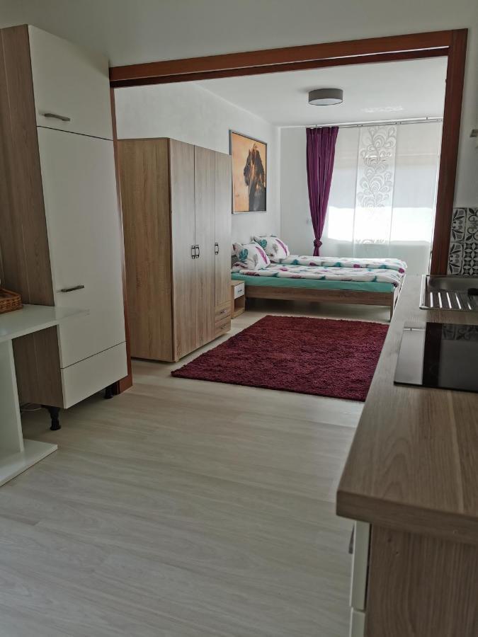 דירות Forchtenberg La Casa Suciu מראה חיצוני תמונה